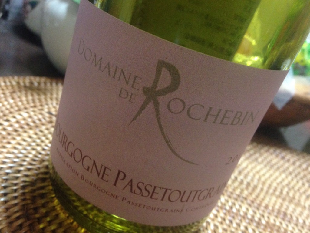 2012 Bourgogne Passtougrains Domaine de Rochebin